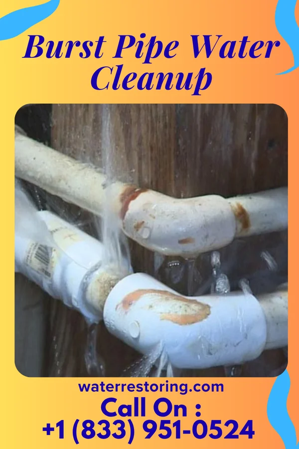 Burst Pipe Water Cleanup in Eureka, IL